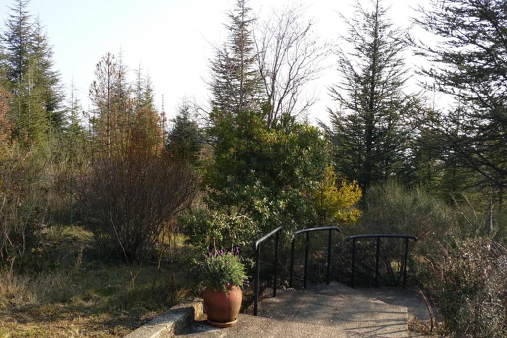 Villa La Lurette, Appartement Et Studio 圣艾蒂安-莱索尔格 外观 照片