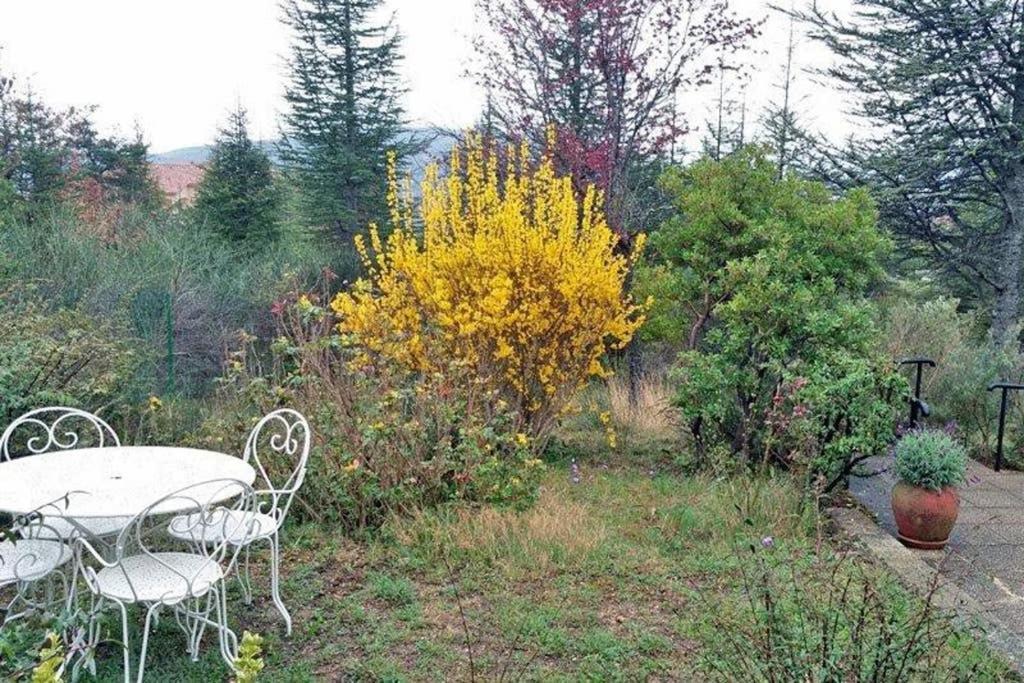 Villa La Lurette, Appartement Et Studio 圣艾蒂安-莱索尔格 外观 照片