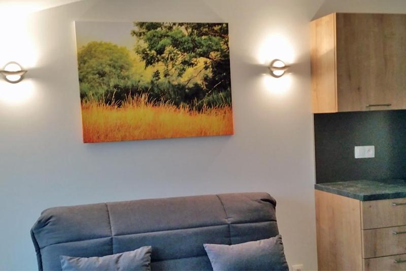 Villa La Lurette, Appartement Et Studio 圣艾蒂安-莱索尔格 外观 照片
